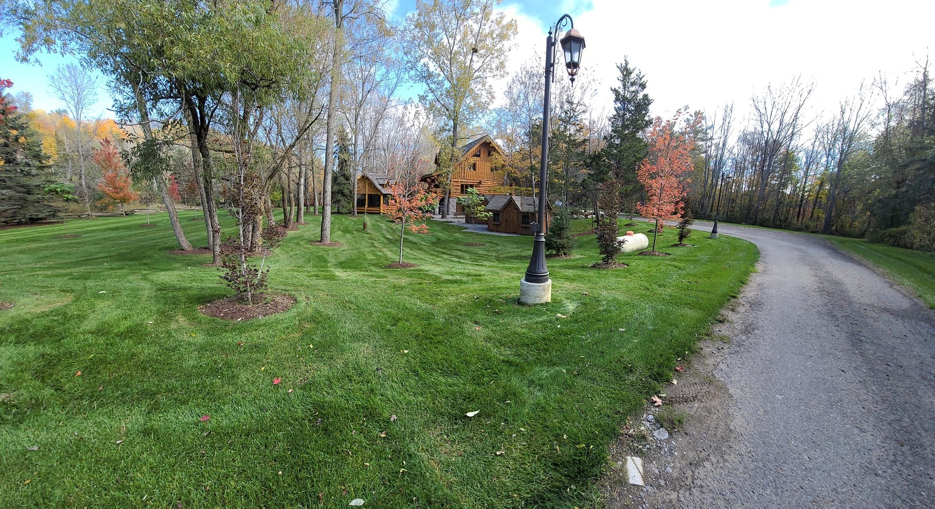 Mowed lawn and young trees along a paved driveway in the fall