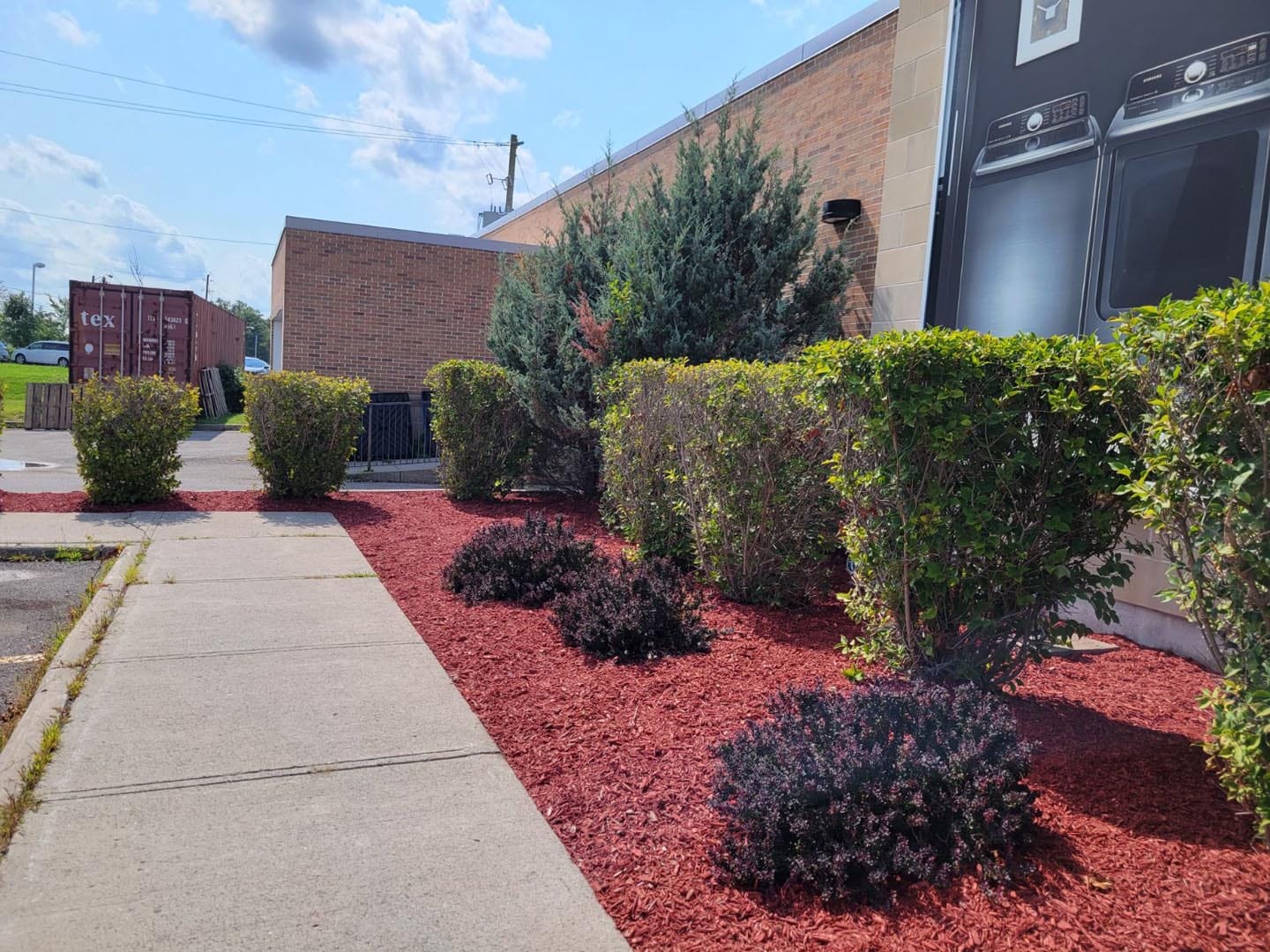 Freshly edged garden beds with new mulch along a walkway