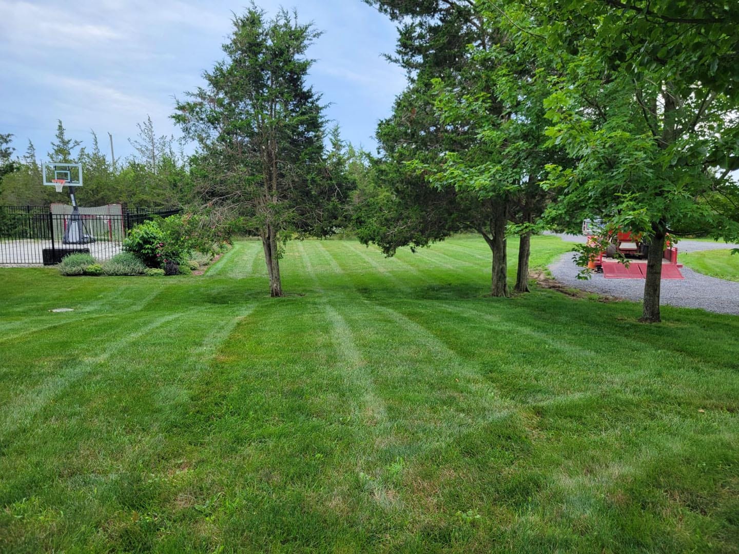 Freshly cut, striped lawn on a residential property