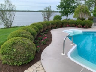 In-ground pool with a curved concrete deck and clipped shrubs by the water