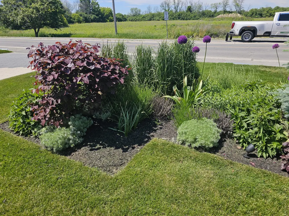 A crisp cut edge holds the line between lawn and perennial bed
