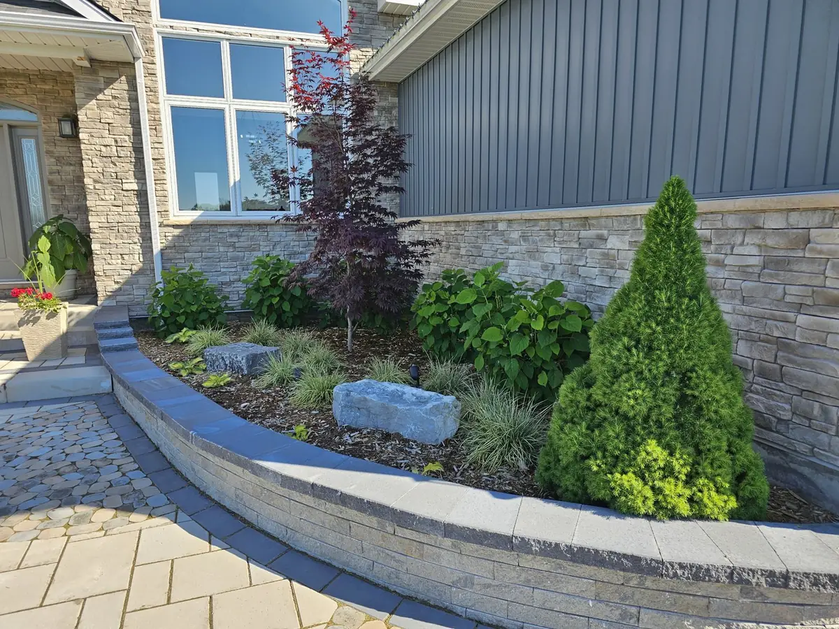 Mulched front bed holding moisture around shrubs and perennials
