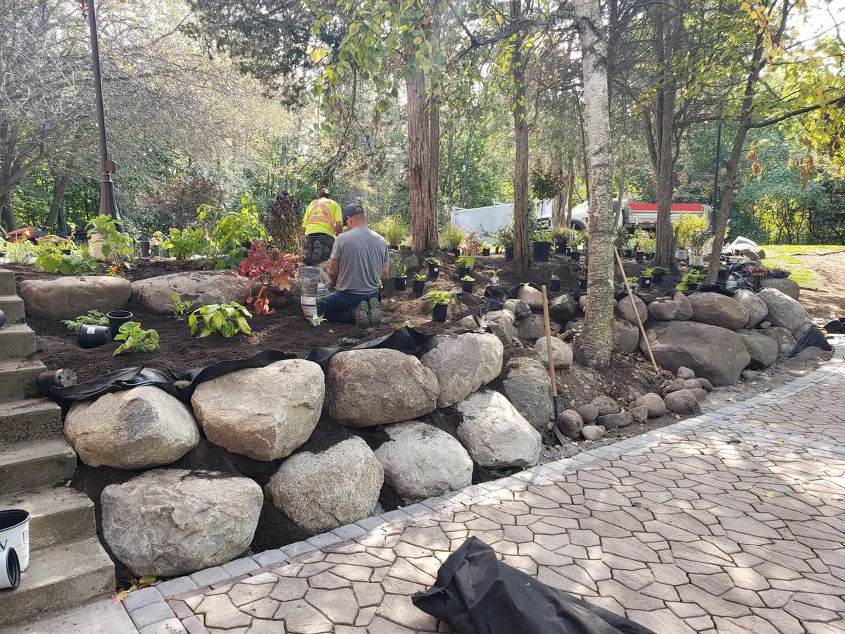 Lamer crew installing a new planting