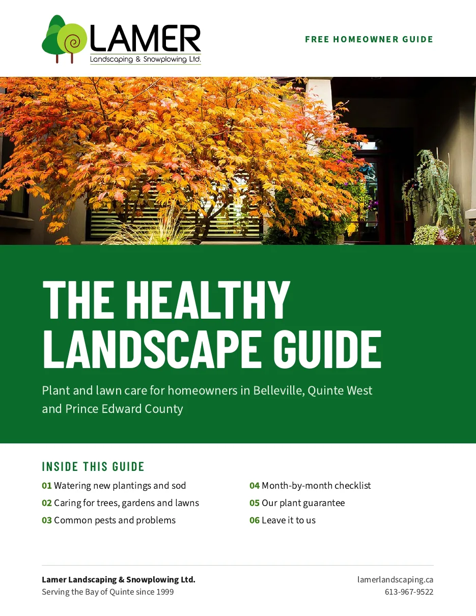 Free guide: The Healthy Landscape Guide