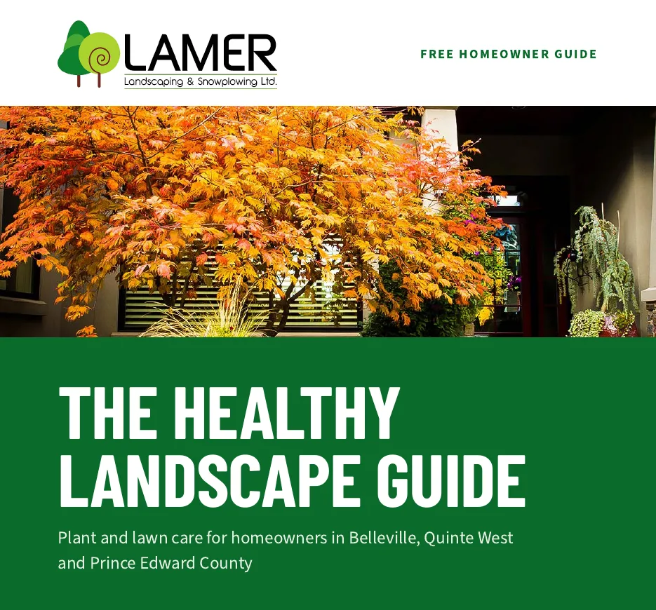 Cover of The Healthy Landscape Guide
