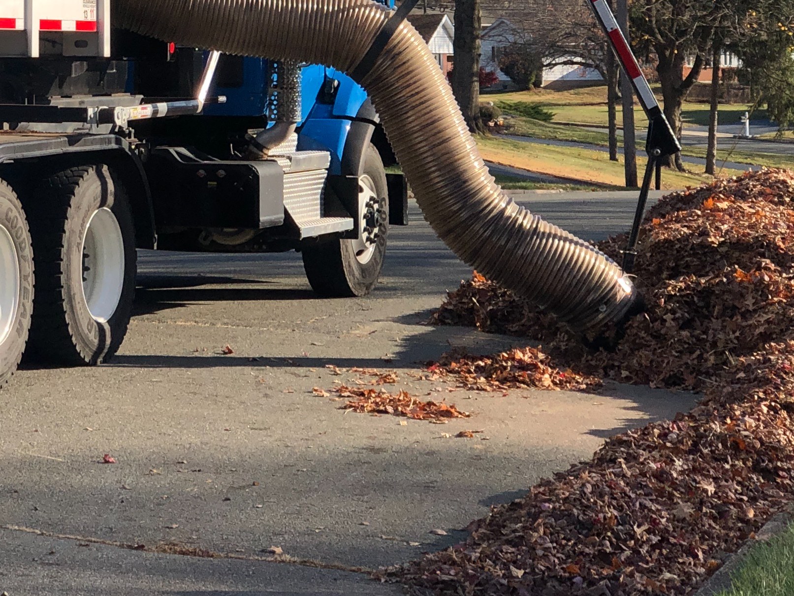 Truck-mounted leaf vacuum hose pulling up a large pile of fall leaves